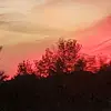 Donnie Eldridge - @donnie.eldridge - TikTok