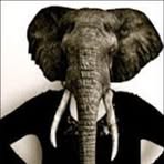 Don Elefante - Facebook