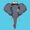 Don elefante - @don.elefante - TikTok