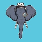Don Elefante - @donelefante_ - Instagram