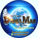 Héctor Muñiz - @don.elefante333 - Instagram