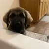 Don Ellis1 - @don.ellis1 - TikTok