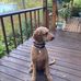 Don Ellis - Facebook