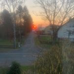 Falk Engelhardt - @falk_don_engelhardt_1234 - Instagram