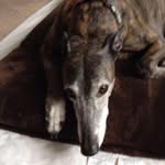 Nancy Donerkiel- Epstein - @donerkielepstein - Instagram