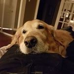 Don Esber - @donesber - Instagram