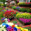Don Faris - @don.faris3 - TikTok