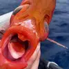 Don Fishfeather - @don.fishfeather - TikTok