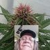 Don Fell - Facebook
