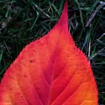 Don Ferber - @dferberfoto - Instagram