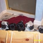 Don Ferrell - @donandheather62 - Instagram
