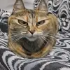 Don florencio - @don.florencio4 - TikTok