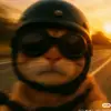 Don Florencio 2701 - @don.florencio.270 - TikTok