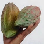 Florencio Sánchez - @don_florencio_jm - Instagram