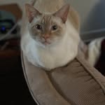 Don Forbes - @hotwheel_don - Instagram