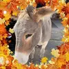donnajanasforeman - @donnajanasforeman - TikTok
