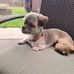 Don Fredrickson - Facebook