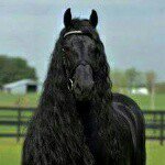 @donfrey2015 - Instagram