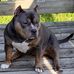 Donzale Gaines - Facebook