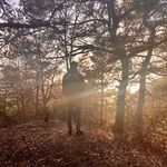 Vincent Don Gauthier - @vincentdongauthier - Instagram