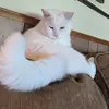 Donna Gibbs - @donna.gibbs94 - TikTok