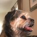Don Goodman - Facebook