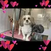 donna - @donnalynchgourley - TikTok