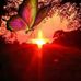 Donna Grabowski - Facebook
