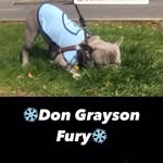❄️𝐺𝑟𝑎𝑦𝑠𝑜𝑛 𝑓𝑢𝑟𝑦❄️ - @don_graysonfury - Instagram