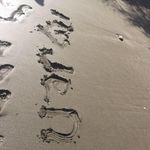 Don Grayson - @don_grayson - Instagram