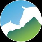 Donnington Grove Equine Vets - @donningtongroveequinevets - Instagram
