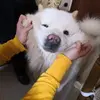 don_guerrero - @don_guerrero - TikTok