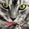 DOn Gustavo Guerrero - @don.gustavo.guerr - TikTok