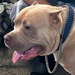 Teflon “The Teflon Don” Guerrero - @yofavoritelightskinteflon - Instagram