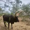 donhabert - @donhabert - TikTok