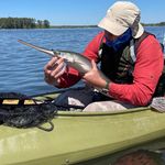 Don Hackett - @dshackett - Instagram