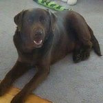 Donna Halbert - @donna.halbert - Instagram