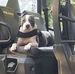 Donnie Halbert - Facebook