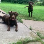 Donald Halverson - @donaldh19 - Instagram