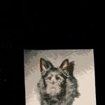 Donna Halverson - @donna.halverson.96 - Instagram
