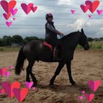 Don Haughton - @don.haughton.549 - Instagram
