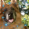 Donna Hazelwood965 - @don.haze - TikTok