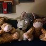 Don Heater - @don.heater - Instagram