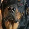Myheaterdontheat. - @myheaterdontheat - TikTok