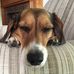 Don Hedrick - Facebook