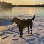 Don Heim - @donheim62 - Instagram