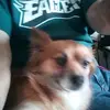 donalddavidheiser34 - @donalddavidheiser34 - TikTok