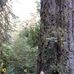 Don Helton - Facebook