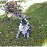 Don Hendry - @hendry.don49 - Instagram