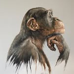 Don Henkens - @don_henkens - Instagram
